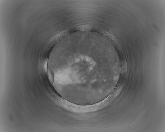 X0000113100047200909251040