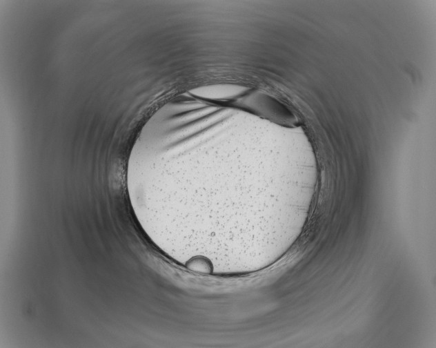 X0000113100048200909251040