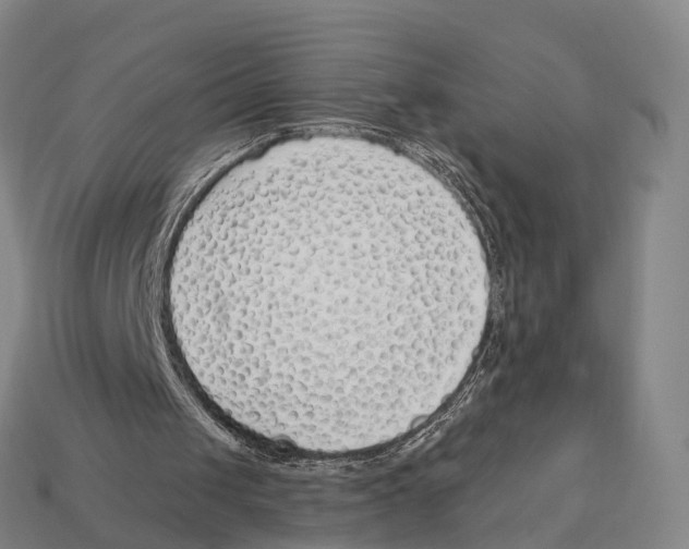 X0000113100049200909251039