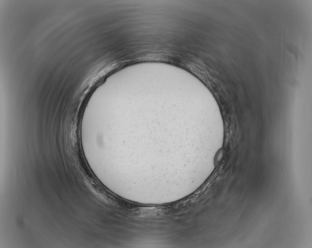 X0000113100050200909251039