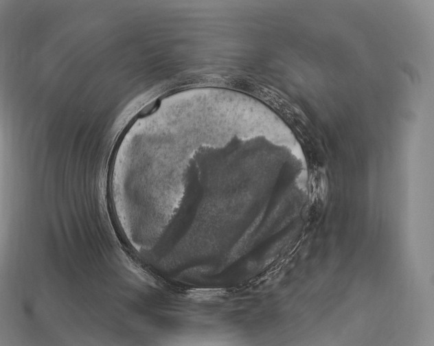 X0000113100051200909251039
