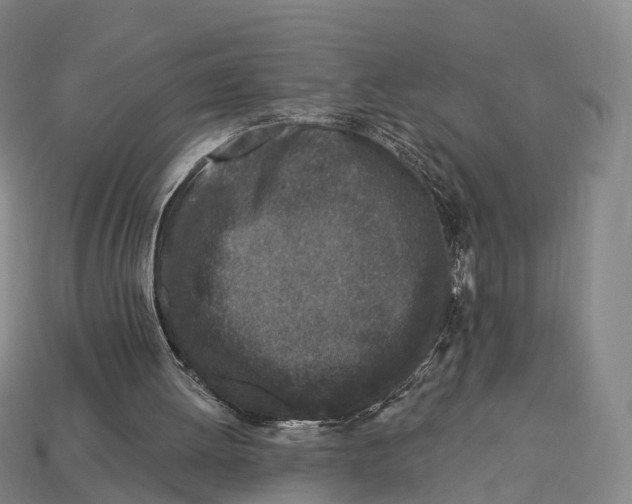 X0000113100052200909251039