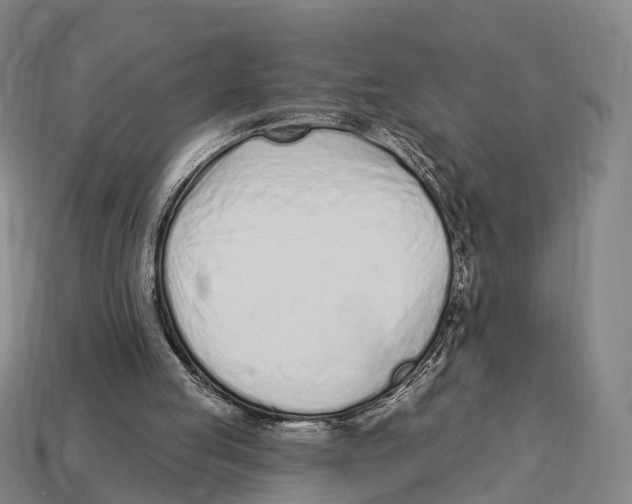 X0000113100053200909251039