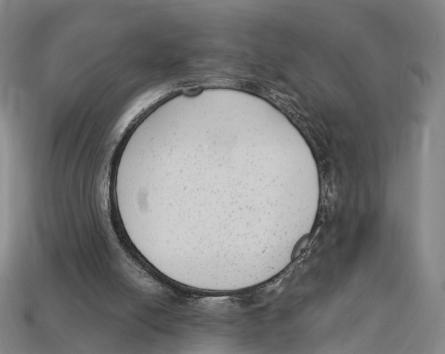 X0000113100054200909251039