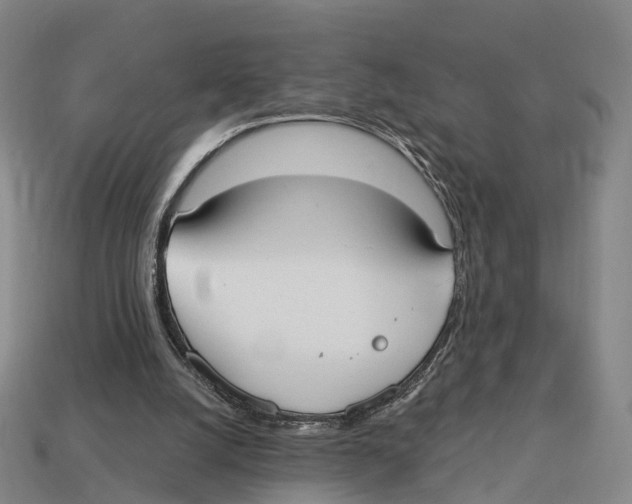 X0000113100056200909251039