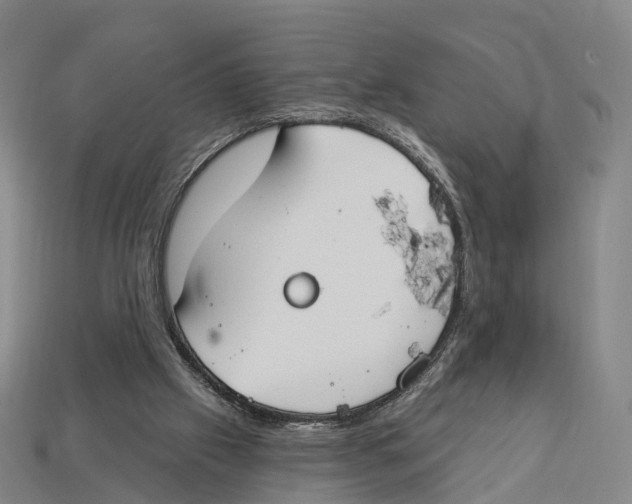 X0000113100057200909251039