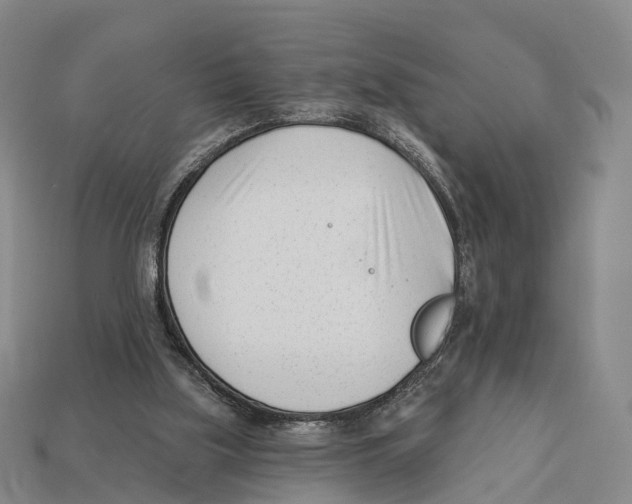 X0000113100059200909251039