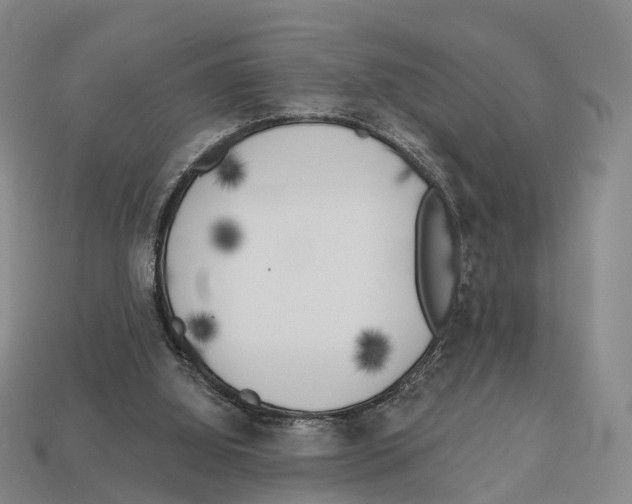 X0000113100060200909251039