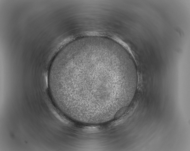 X0000113100061200909251039