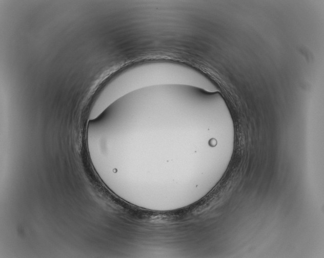 X0000113100064200909251040