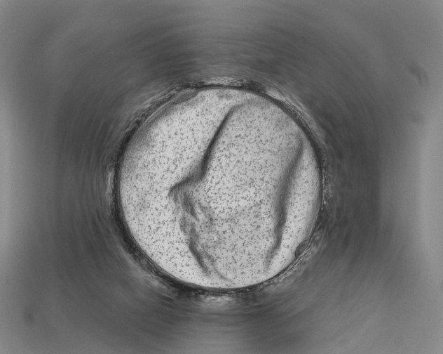X0000113100066200909251040
