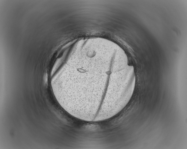 X0000113100067200909251040