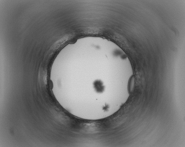 X0000113100068200909251040