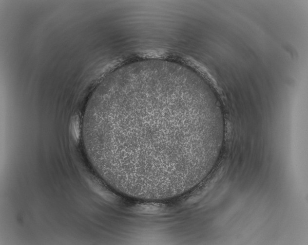 X0000113100069200909251040