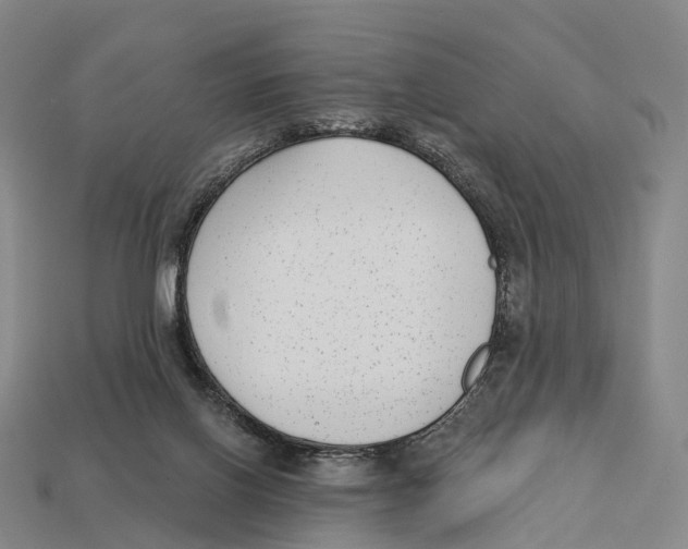 X0000113100070200909251040
