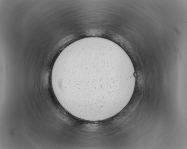 X0000113100071200909251040
