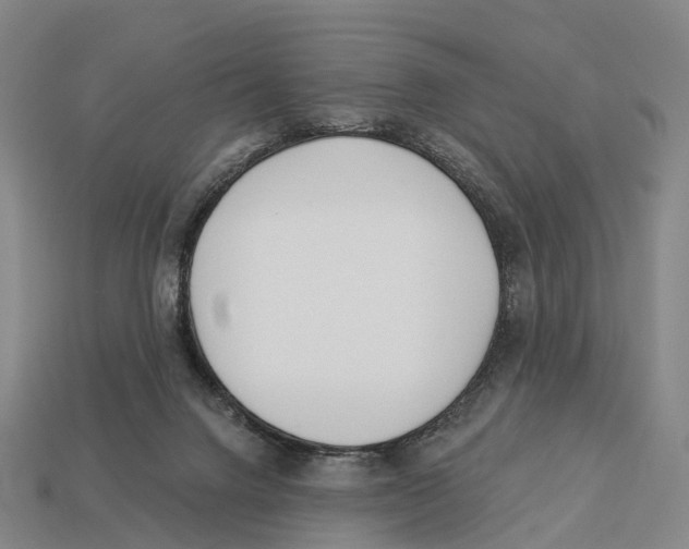 X0000113100072200909251040