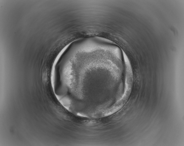 X0000113100074200909251040