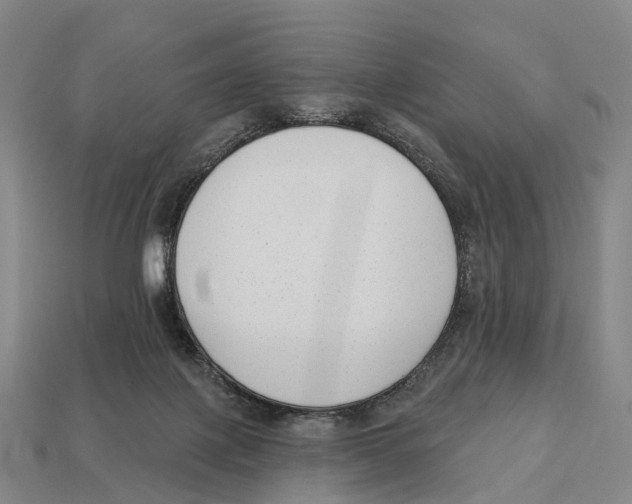 X0000113100075200909251040