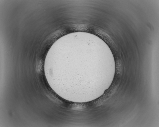 X0000113100077200909251040