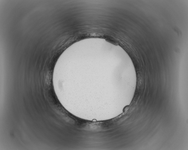 X0000113100078200909251040