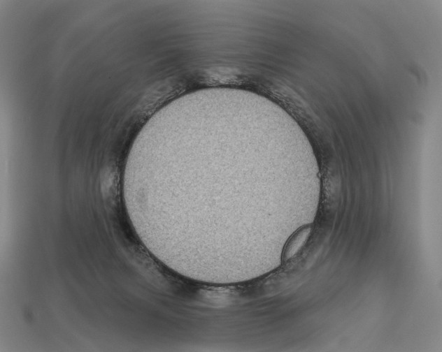 X0000113100079200909251040