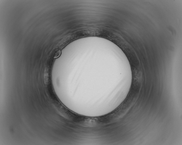 X0000113100080200909251040