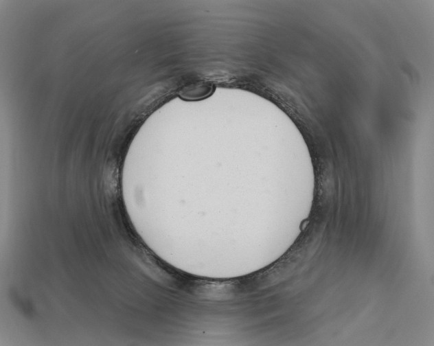 X0000113100081200909251040
