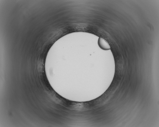 X0000113100083200909251040