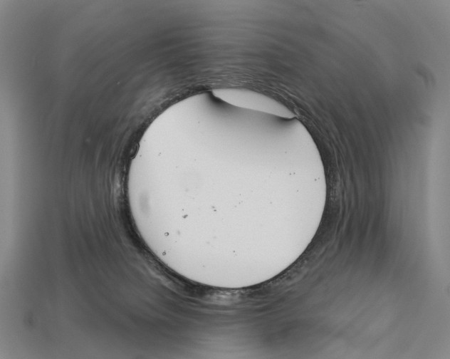 X0000113100084200909251040