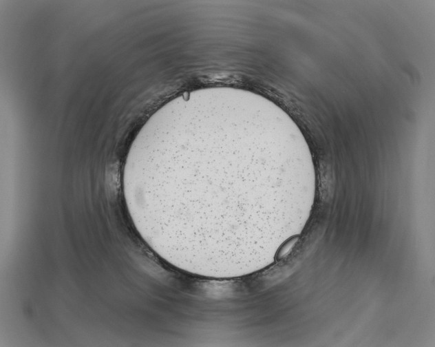 X0000113100085200909251040