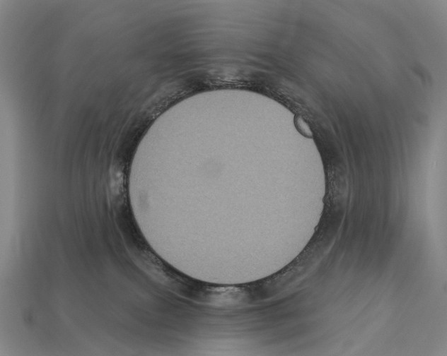 X0000113100087200909251040