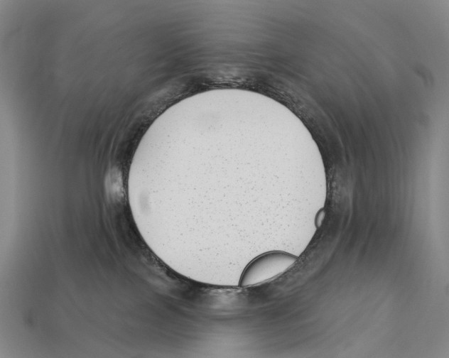 X0000113100089200909251040