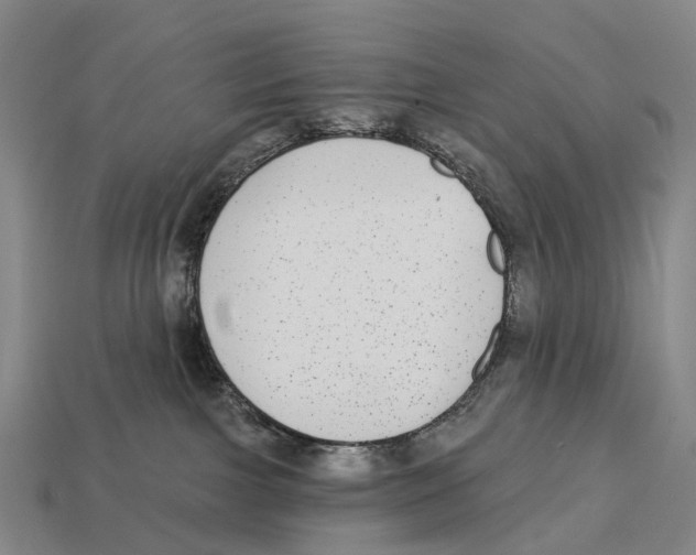 X0000113100091200909251040
