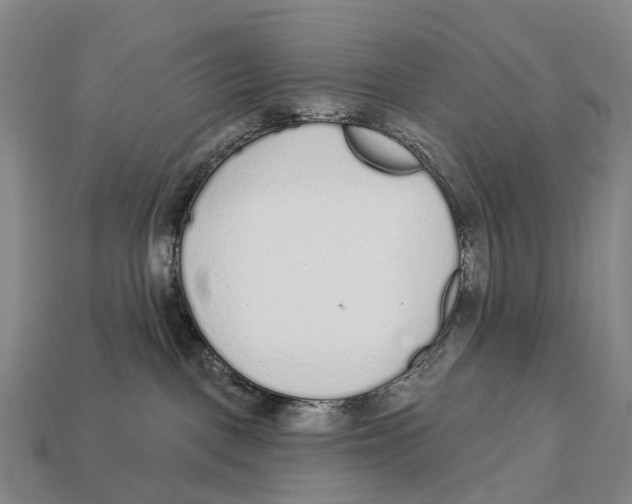 X0000113100093200909251040
