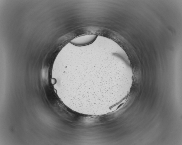 X0000113100094200909251040