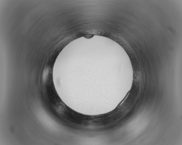 X0000113100095200909251040