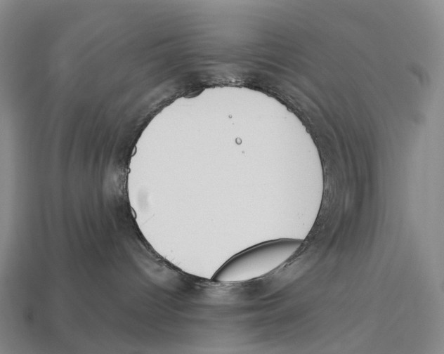 X0000113100096200909251040