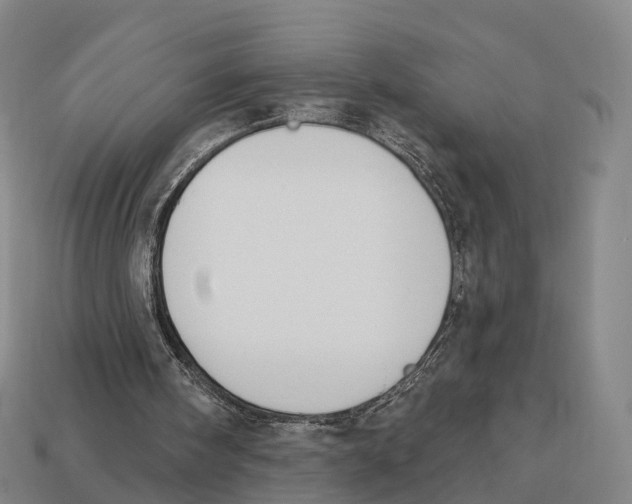 X0000113100098200909251039