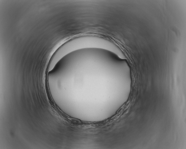 X0000113100100200909251039