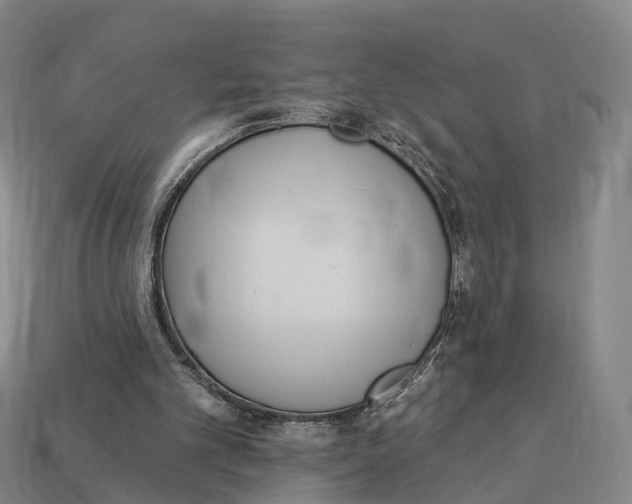X0000113100101200909251039