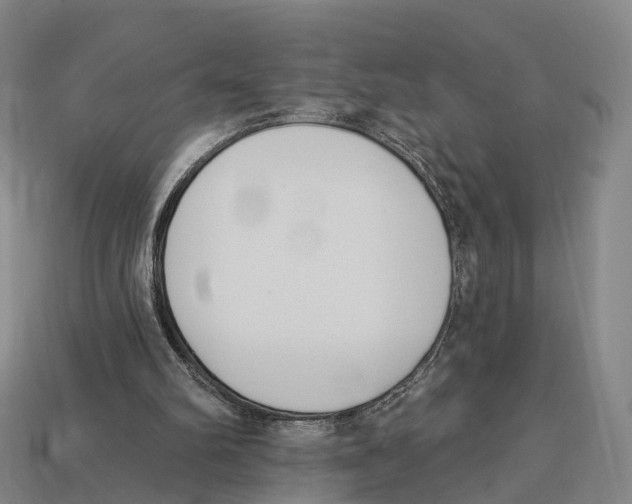 X0000113100102200909251039