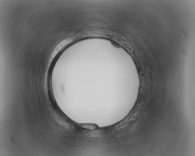 X0000113100104200909251039