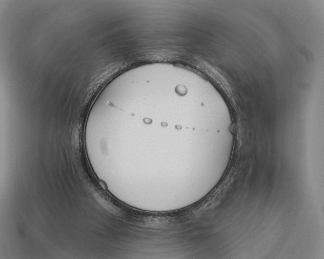 X0000113100105200909251039