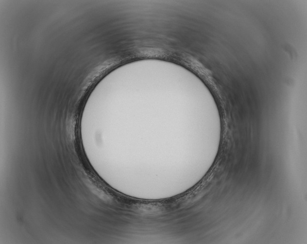 X0000113100106200909251039