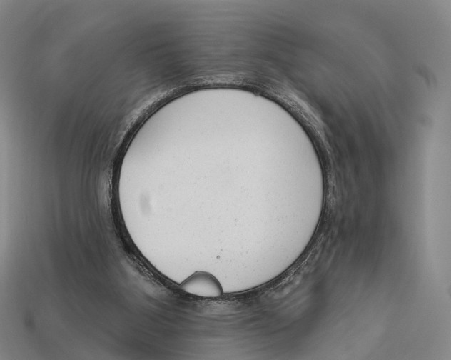X0000113100107200909251039