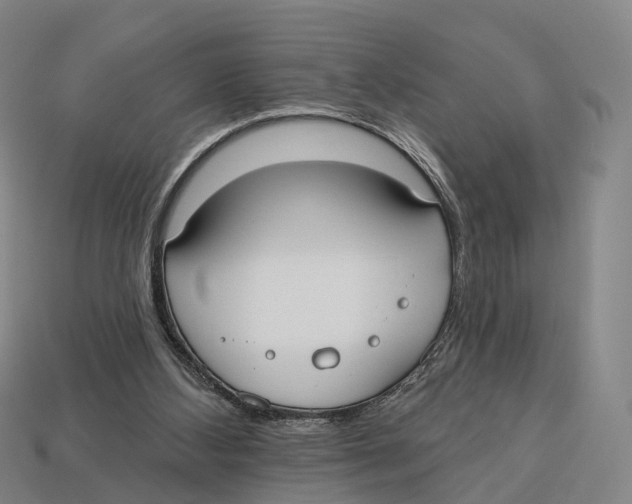X0000113100108200909251039