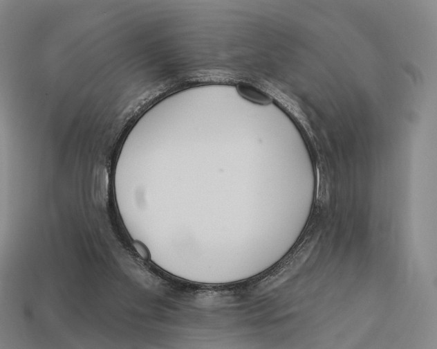 X0000113100109200909251039