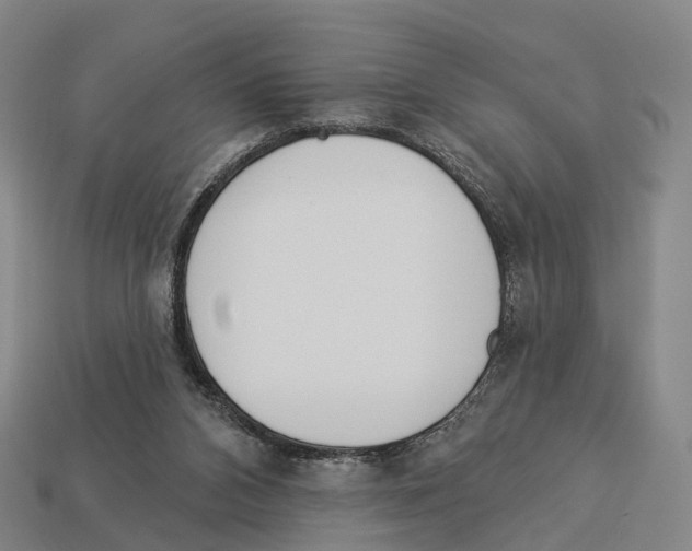 X0000113100112200909251039