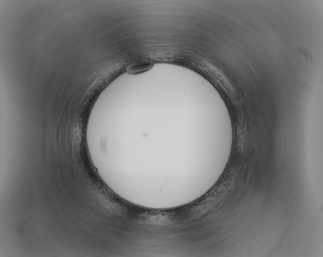 X0000113100113200909251039